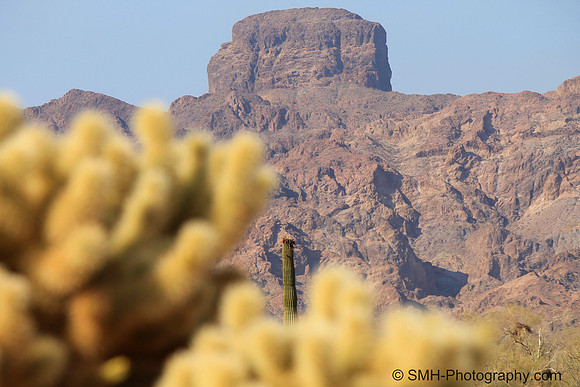 Desert