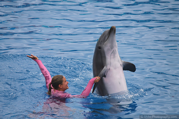 Dolphin Point Encounter