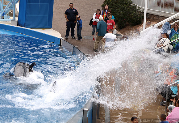 Soak Zone